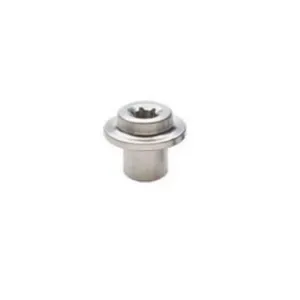 Campagnolo BR-RE223 Brake Shoe Fixing Bolt - Silver