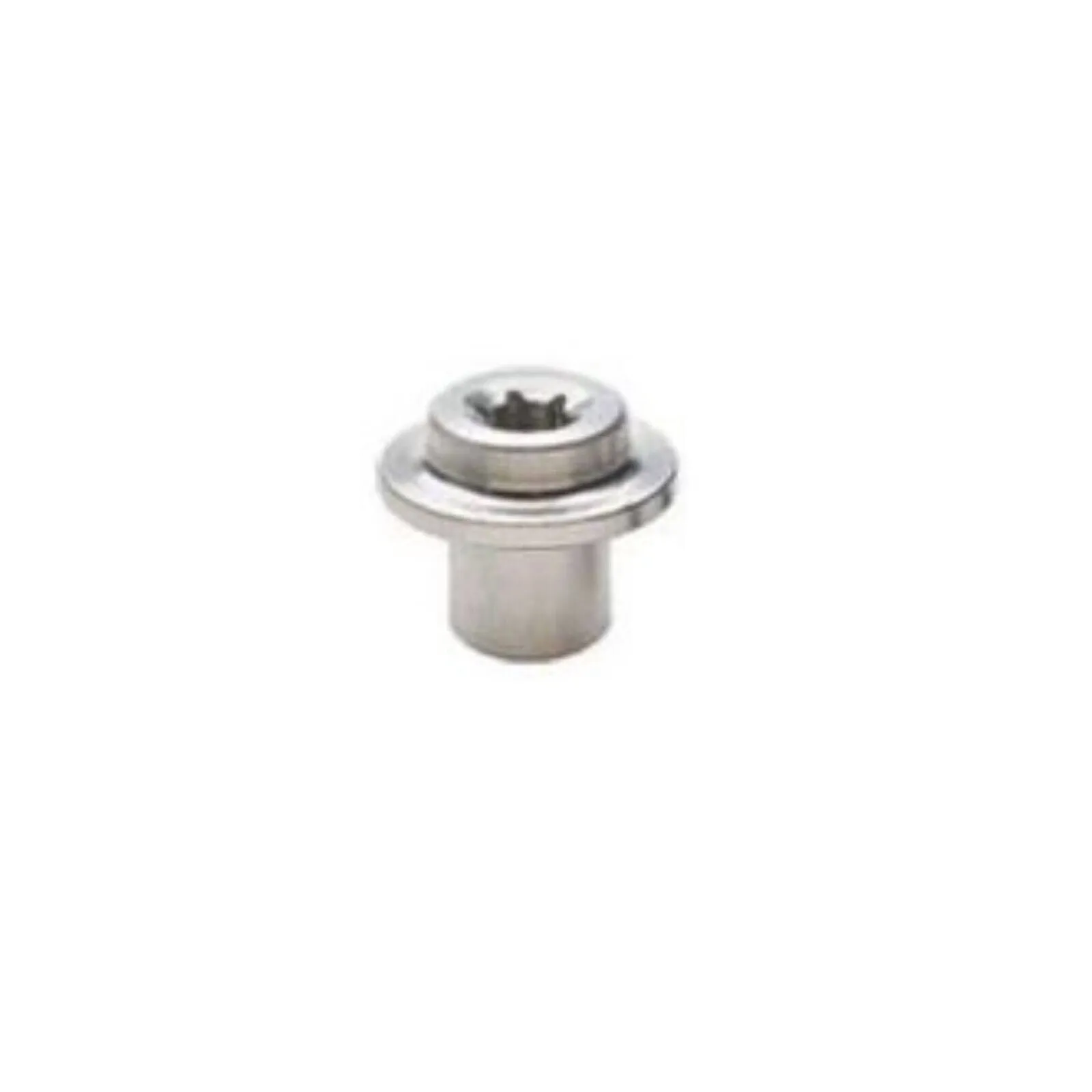 Campagnolo BR-RE223 Brake Shoe Fixing Bolt - Silver
