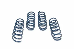 DINAN PERFORMANCE SPRING SET - 2017-2023 BMW 540I