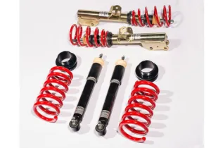 Roush Coilover Ford Mustang (2015-2023) Single Adjustable Suspension Kit - 421839